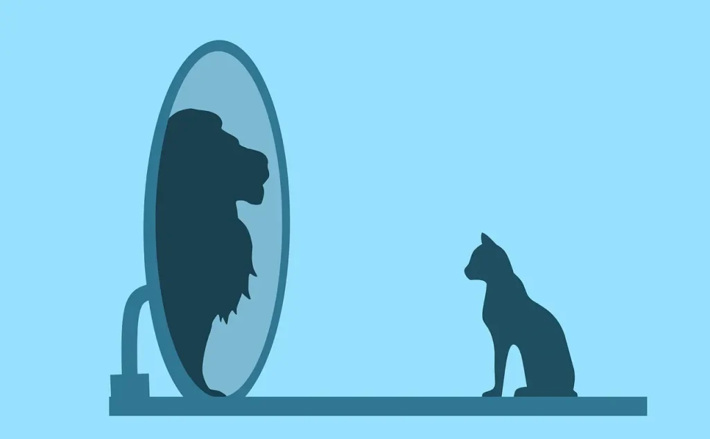 Cat mirror reflection